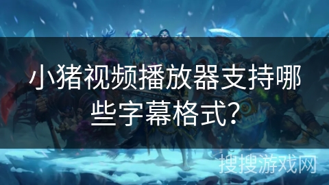 小猪视频播放器支持哪些字幕格式？