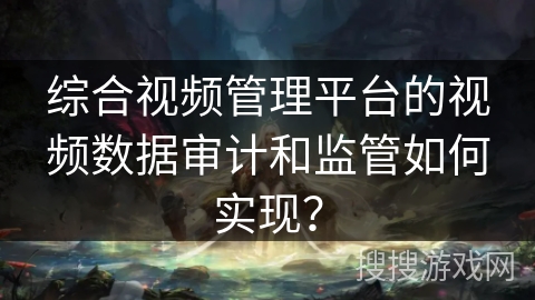 综合视频管理平台的视频数据审计和监管如何实现？