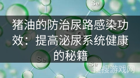 猪油的防治尿路感染功效：提高泌尿系统健康的秘籍