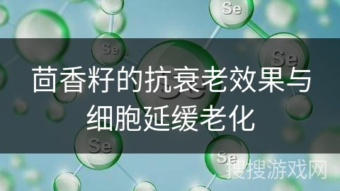 茴香籽的抗衰老效果与细胞延缓老化