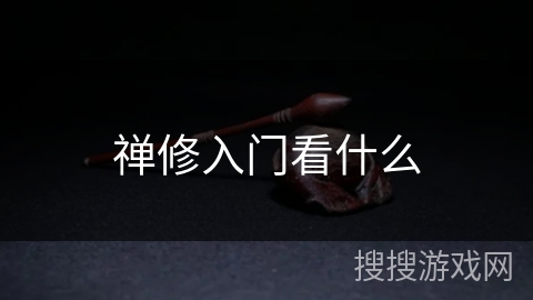 禅修入门看什么