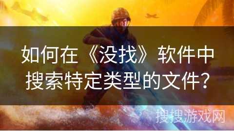 如何在《没找》软件中搜索特定类型的文件？