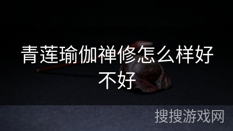 青莲瑜伽禅修怎么样好不好