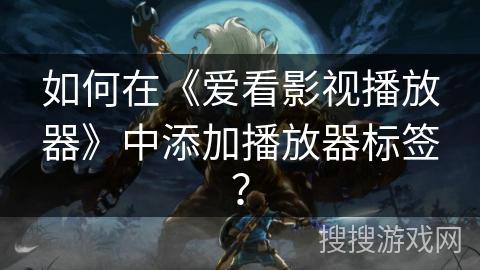 如何在《爱看影视播放器》中添加播放器标签？