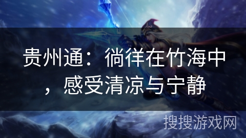 贵州通：徜徉在竹海中，感受清凉与宁静