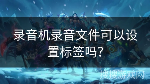 录音机录音文件可以设置标签吗？