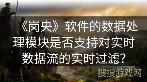 《岗央》软件的数据处理模块是否支持对实时数据流的实时过滤？