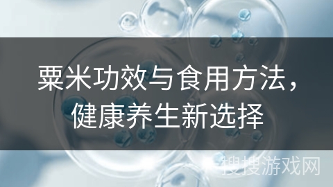 粟米功效与食用方法，健康养生新选择