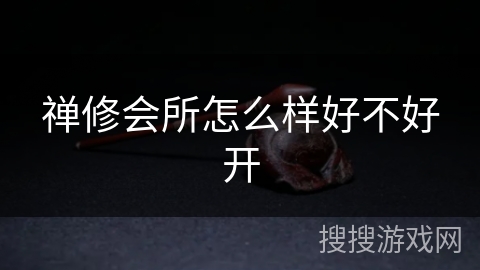 禅修会所怎么样好不好开