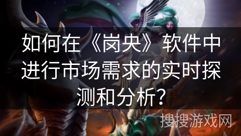 如何在《岗央》软件中进行市场需求的实时探测和分析？