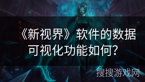 《新视界》软件的数据可视化功能如何？