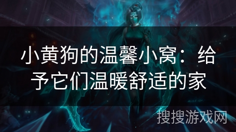 小黄狗的温馨小窝：给予它们温暖舒适的家