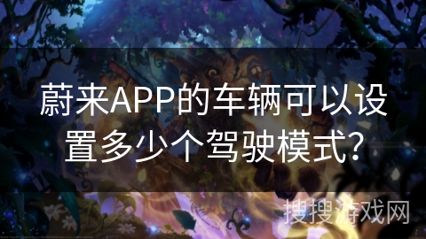 蔚来APP的车辆可以设置多少个驾驶模式？