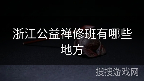 浙江公益禅修班有哪些地方