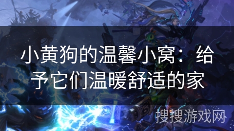 小黄狗的温馨小窝：给予它们温暖舒适的家