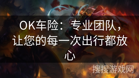 OK车险：专业团队，让您的每一次出行都放心