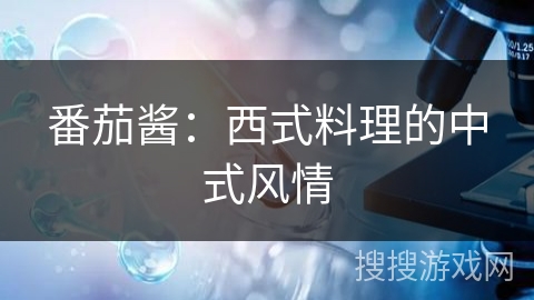 番茄酱:西式料理的中式风情 番茄酱:西式料理的中式风情