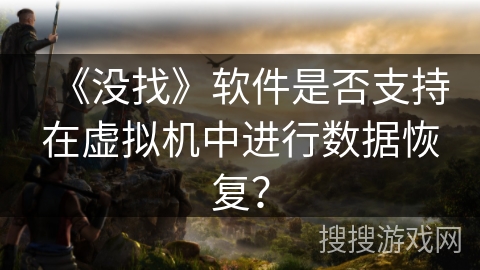 《没找》软件是否支持在虚拟机中进行数据恢复？