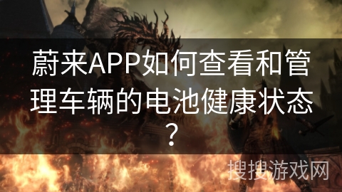 蔚来APP如何查看和管理车辆的电池健康状态？