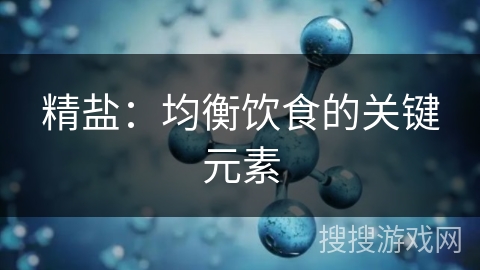 精盐：均衡饮食的关键元素