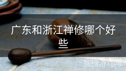 广东和浙江禅修哪个好些