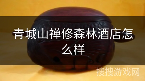 青城山禅修森林酒店怎么样