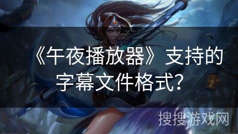 《午夜播放器》支持的字幕文件格式？