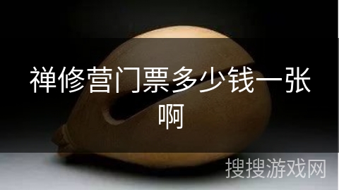 禅修营门票多少钱一张啊