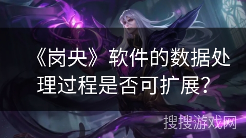 《岗央》软件的数据处理过程是否可扩展？