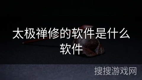 太极禅修的软件是什么软件