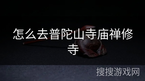怎么去普陀山寺庙禅修寺