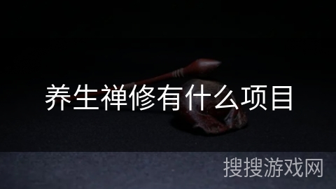 养生禅修有什么项目