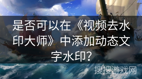 是否可以在《视频去水印大师》中添加动态文字水印？