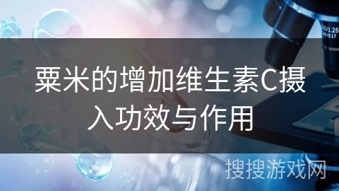 粟米的增加维生素C摄入功效与作用