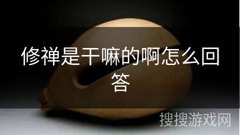 修禅是干嘛的啊怎么回答