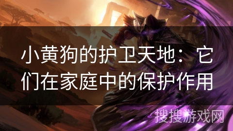 小黄狗的护卫天地：它们在家庭中的保护作用