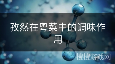 孜然在粤菜中的调味作用