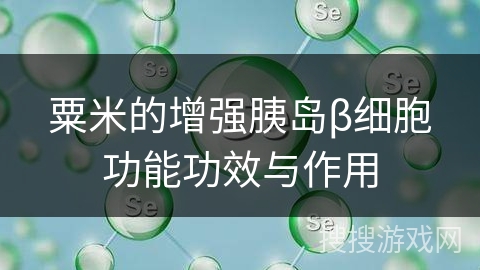 粟米的增强胰岛β细胞功能功效与作用