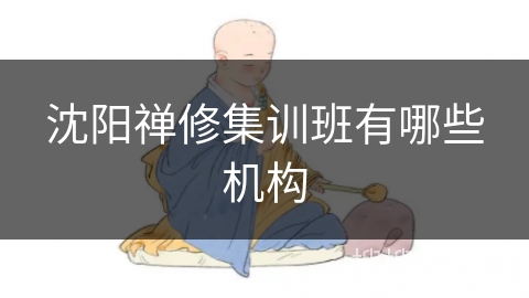 沈阳禅修集训班有哪些机构