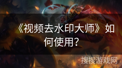 《视频去水印大师》如何使用? 《视频去水印大师》如何使用?