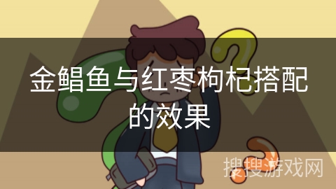 金鲳鱼与红枣枸杞搭配的效果