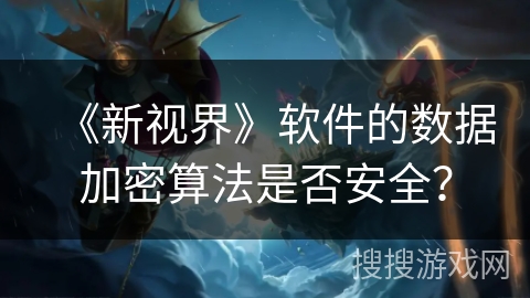 《新视界》软件的数据加密算法是否安全？