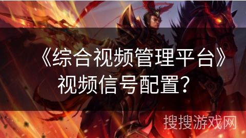 《综合视频管理平台》视频信号配置？
