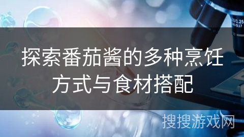 探索番茄酱的多种烹饪方式与食材搭配