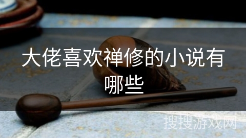 大佬喜欢禅修的小说有哪些