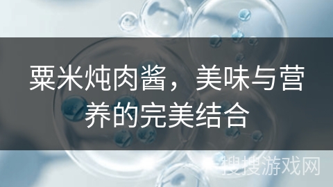 粟米炖肉酱，美味与营养的完美结合