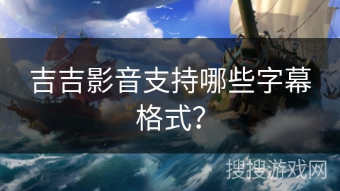 吉吉影音支持哪些字幕格式？