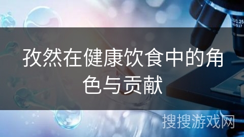 孜然在健康饮食中的角色与贡献