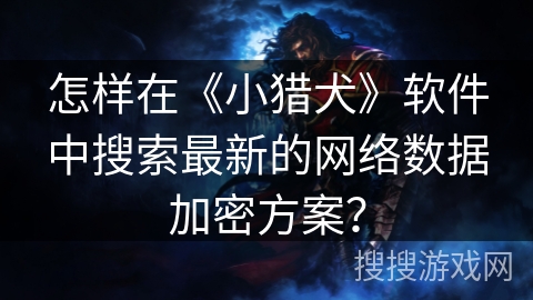 怎样在《小猎犬》软件中搜索最新的网络数据加密方案？