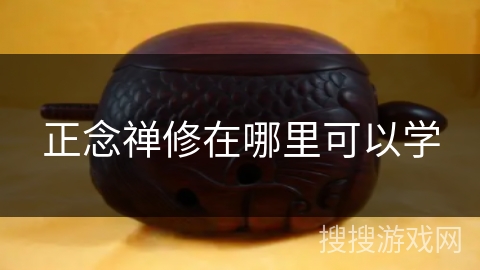 正念禅修在哪里可以学